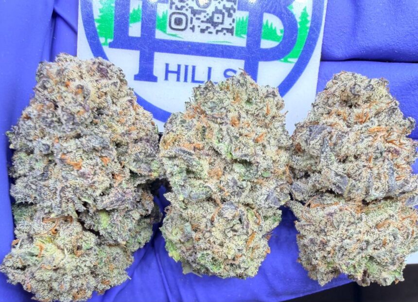 Garlic Gas