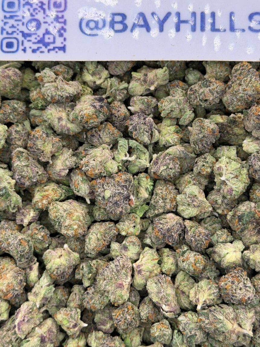 Guava Z Smalls