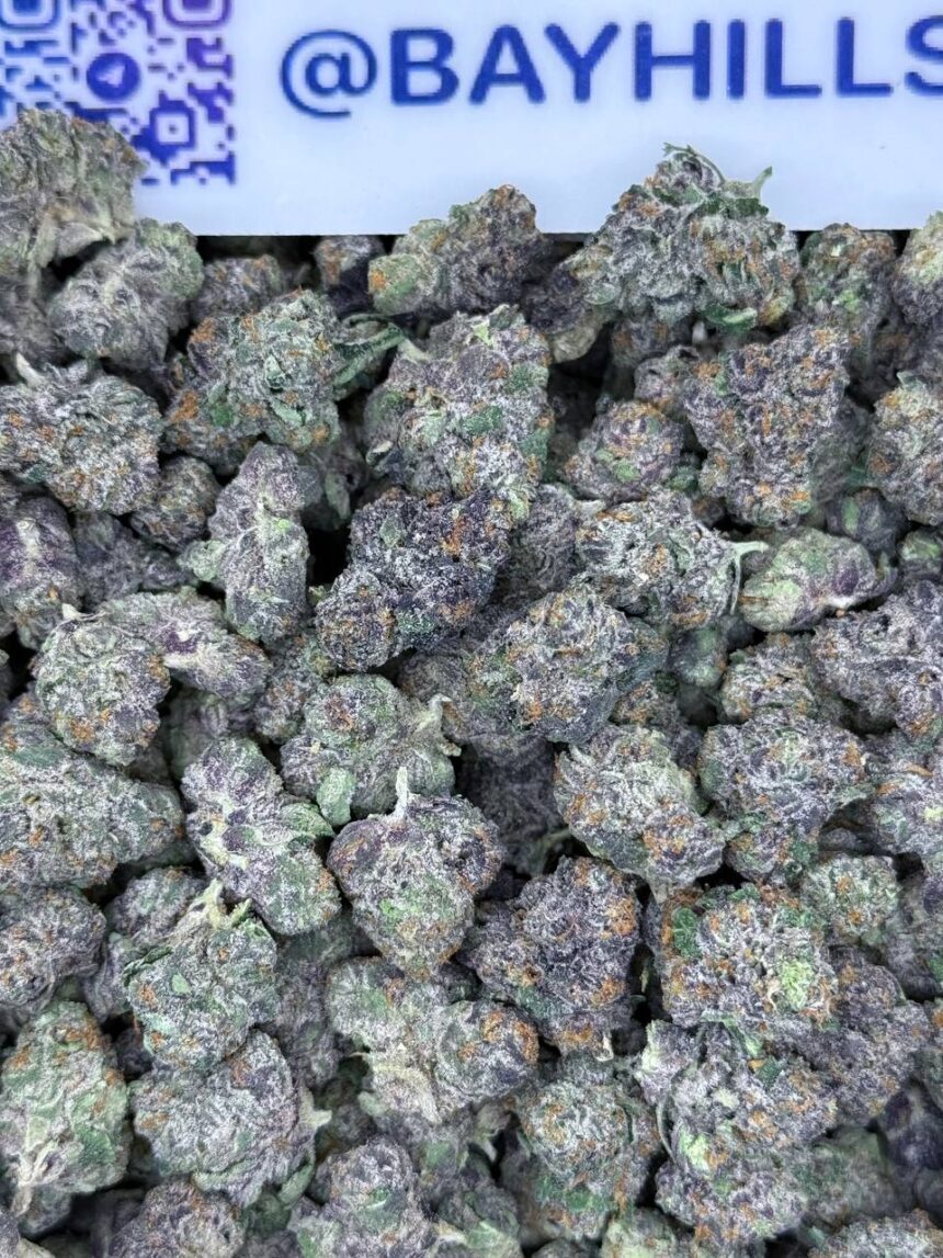 Bacio Gelato Smalls