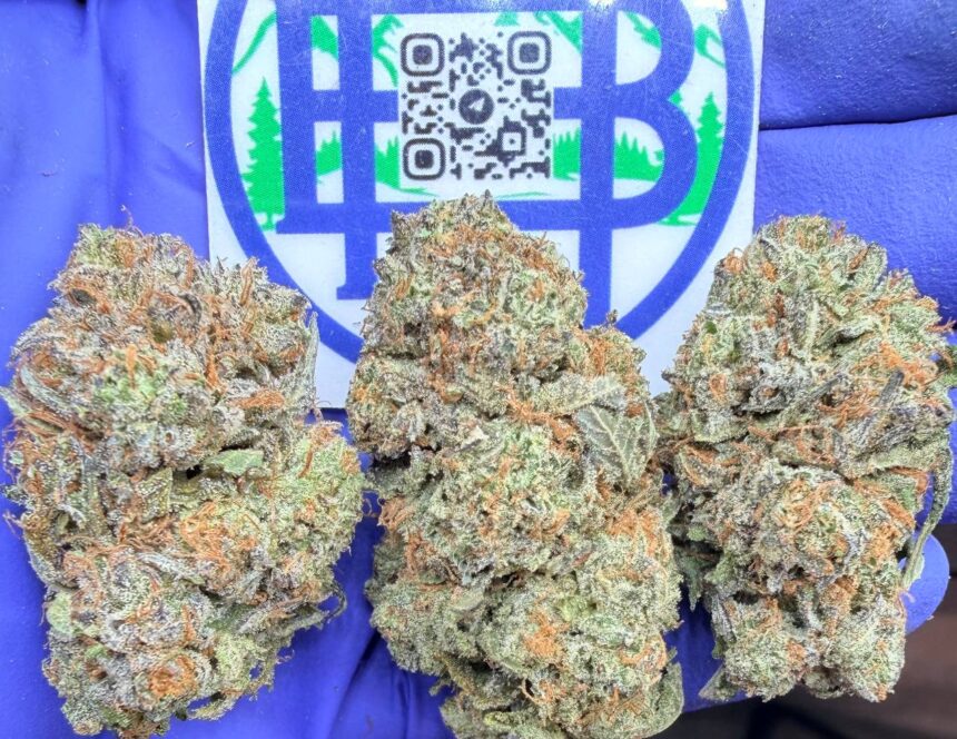 Platinum Bubba