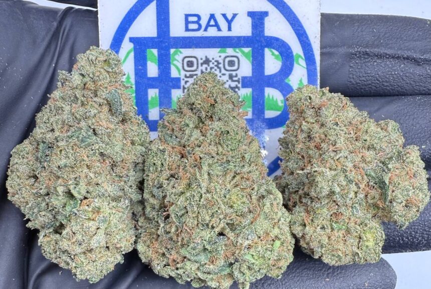 Rainbow Sherbert 11
