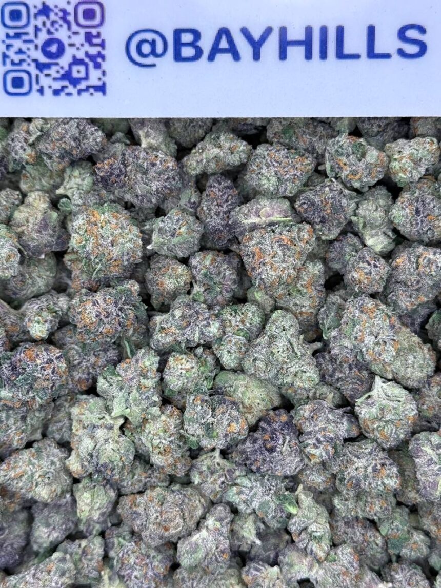 Bacio Gelato Smalls