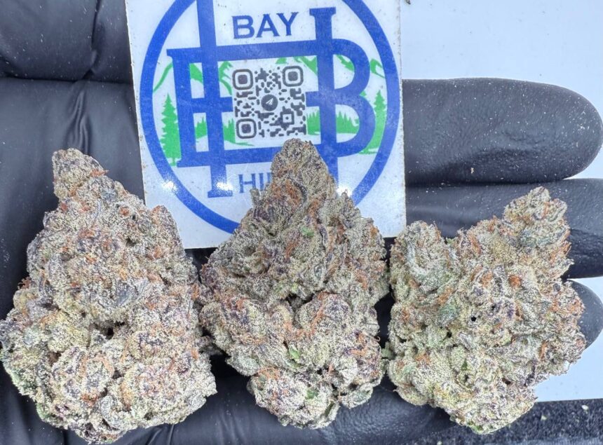 Blue Cherry Gelato
