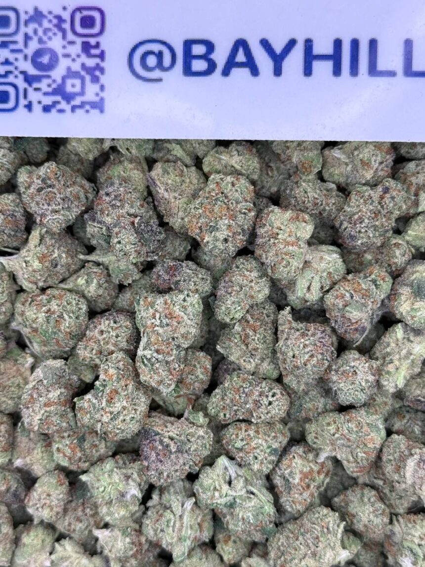Gelonade Smalls