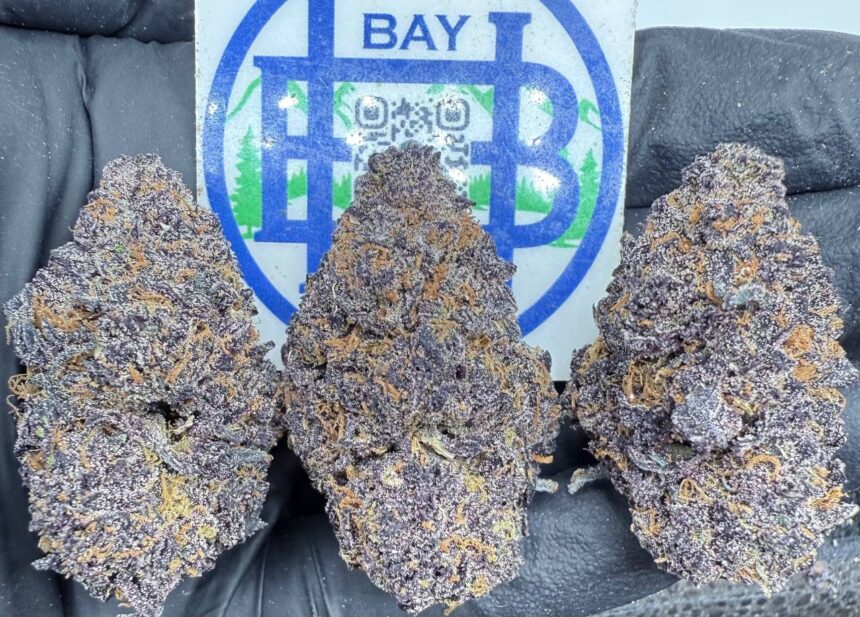 Purple Candy Rain