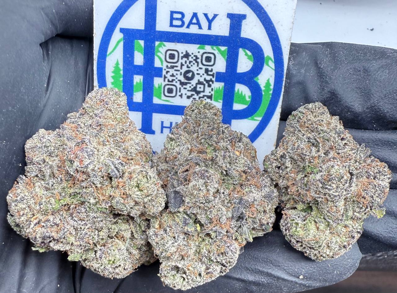 Bubblegum Gelato