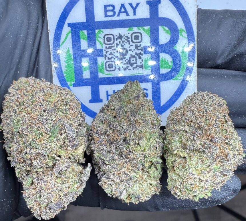 ChemBerriez