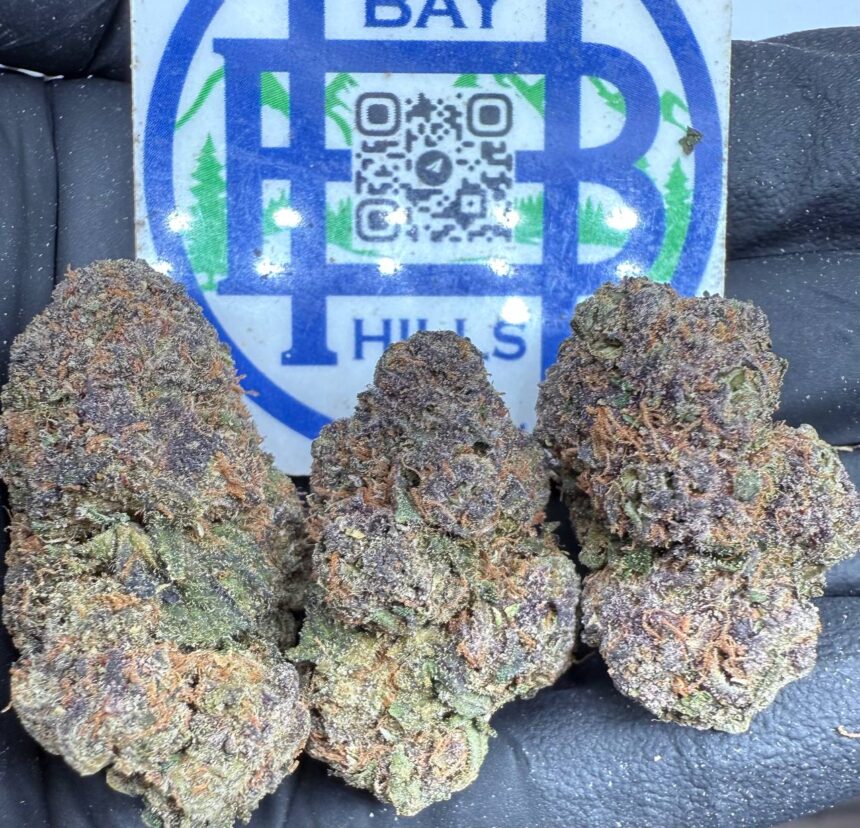 Lemon Cherry Gelato