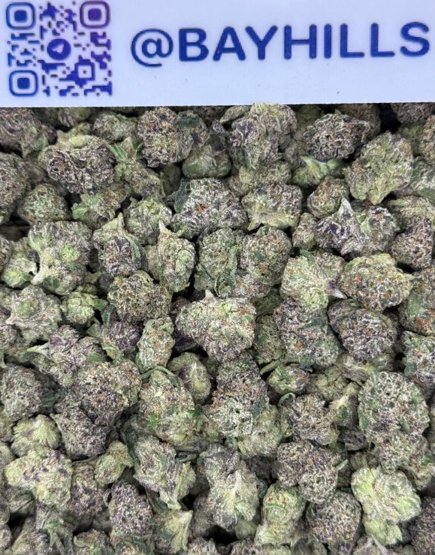 Artic Gelato Smalls