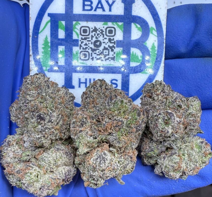 Bubblegum Popperz