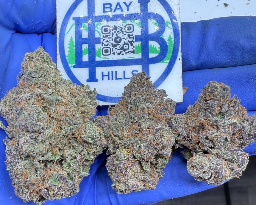 Sunset Sherbert