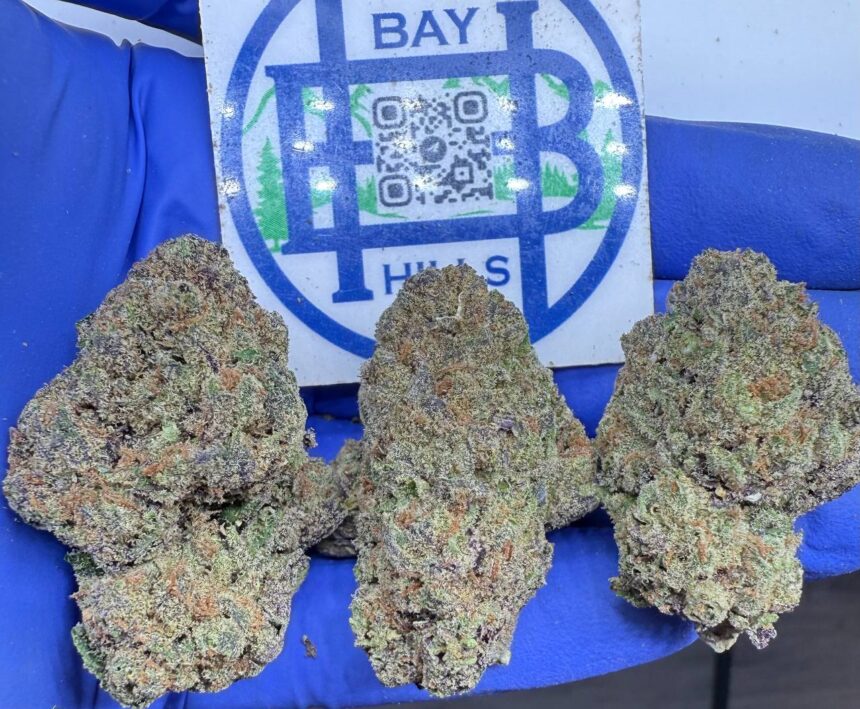 White Cherry Gelato