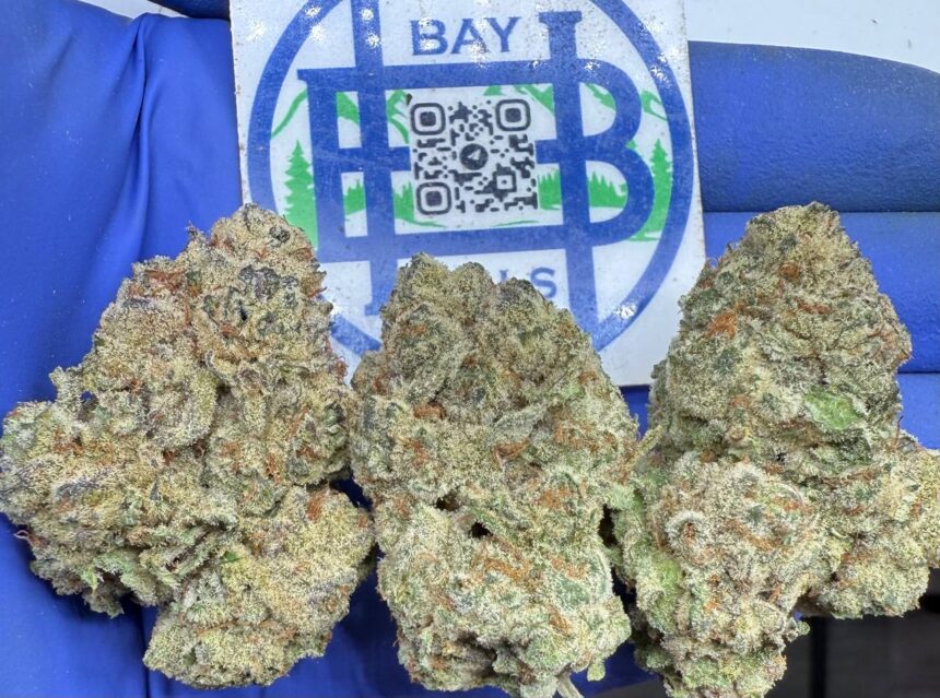 Ghost Train Haze