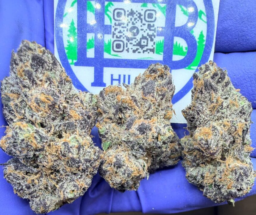 Lemon Cherry X-Burtzt