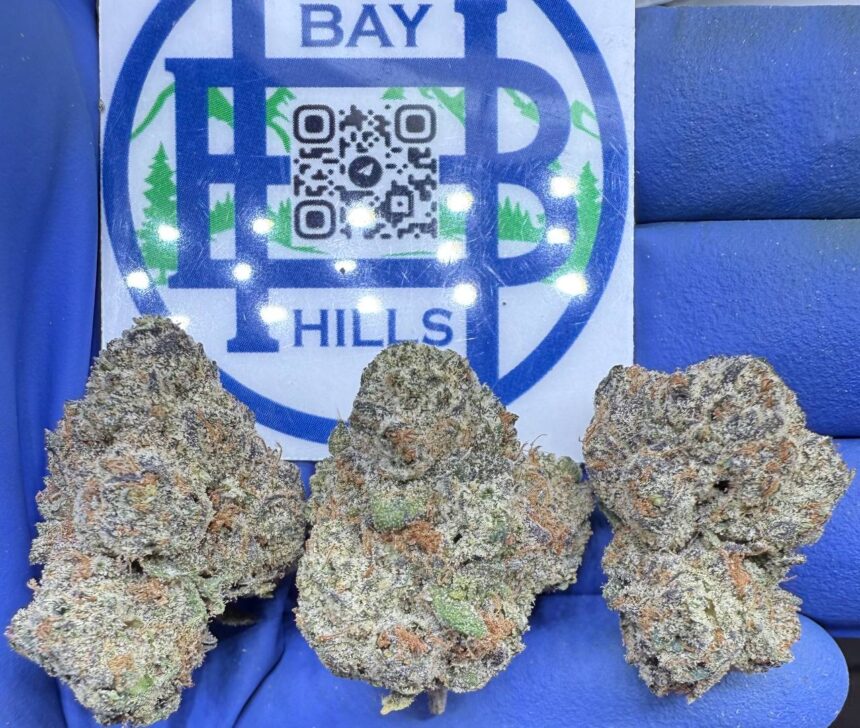 Gelato Breath