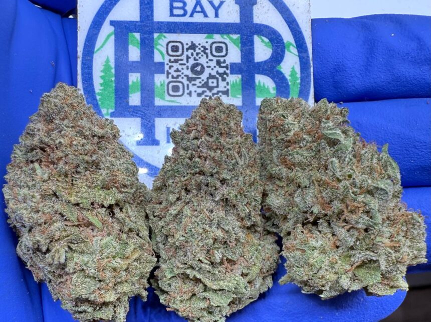Platinum Bubba