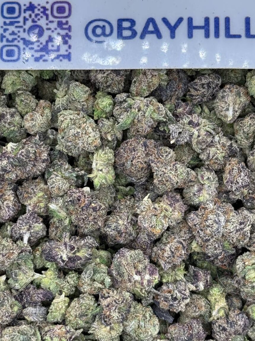 Purple Push Pop Smalls