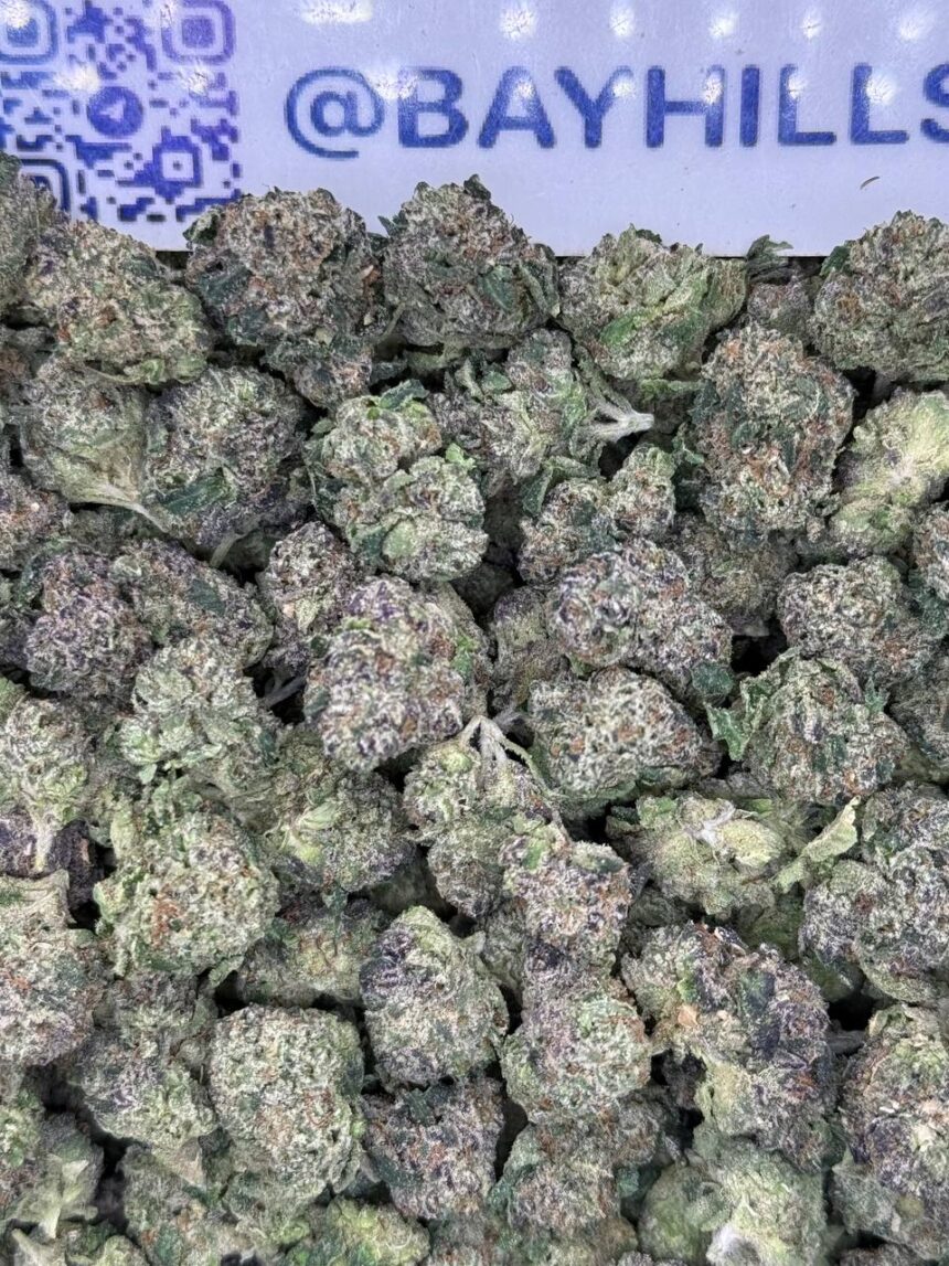 Sunset Gelato Smalls