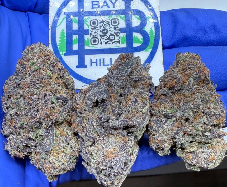 White Cherry Gelato