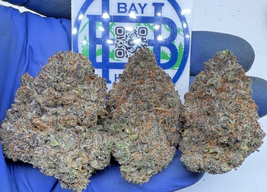 White Gummy