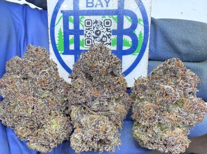 Privileged Black Baddie