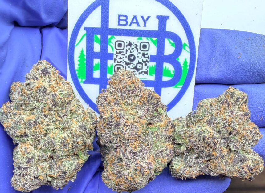 Blue Cherry Nerds