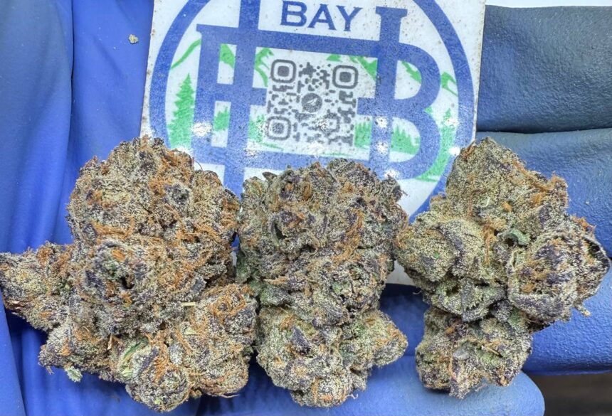 Grape Pop Rock Smalls