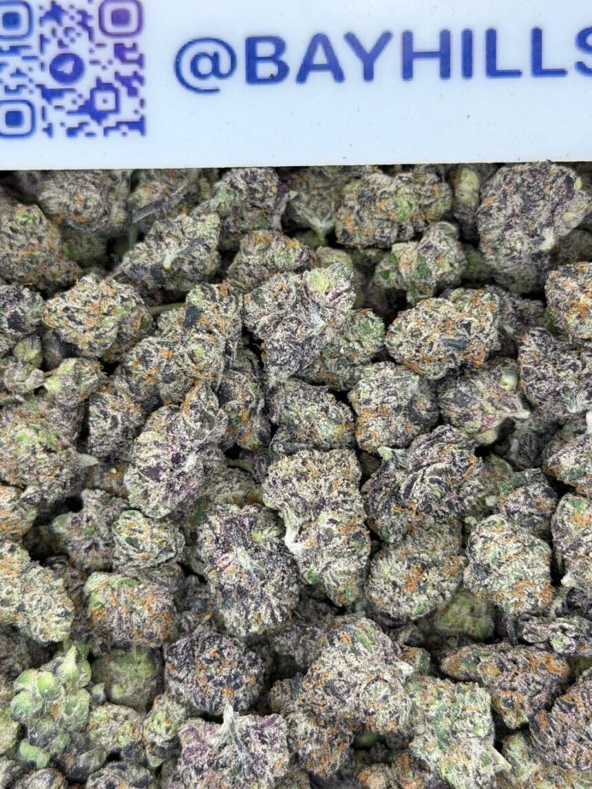 Southern Gumbo Smalls