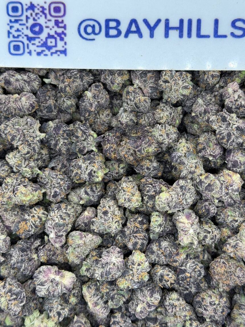 White Bubblegum Gelato Smalls